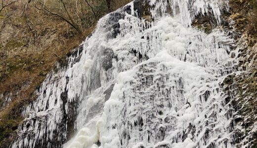 白猪の滝の氷瀑 冬に落差96㍍の滝が凍る圧巻の光景 東温市