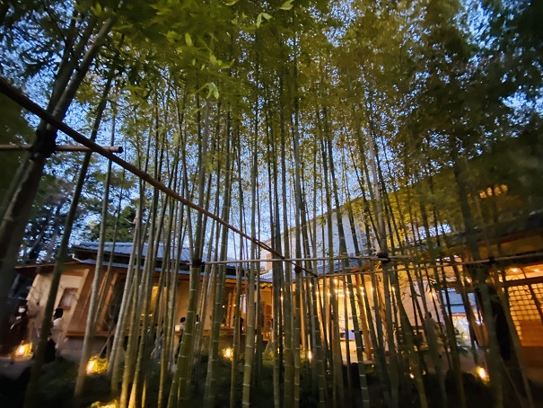 きび美ミュージアム　竹林庭園ライトアップ