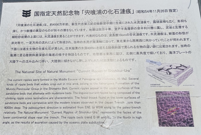 国指定天然記念物　宍喰浦の化石漣痕　説明
