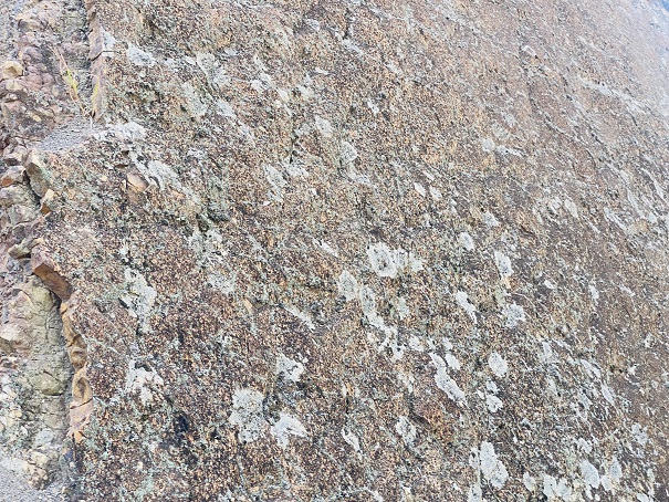 宍喰浦の化石漣痕　表面