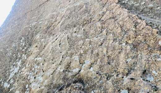 宍喰浦の化石漣痕 4500万年前の大昔のさざ波の化石 海陽町