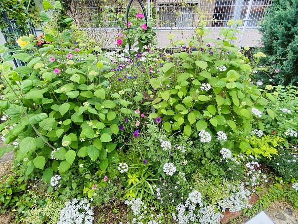 ガーデン四季　ホワイト＆グリーンコーナー