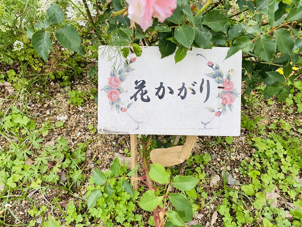 仏生山公園　花かがり名札