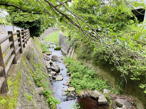 神谷川　神谷荒神社から下流を見る