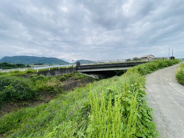 神谷川　ほたる橋の手前