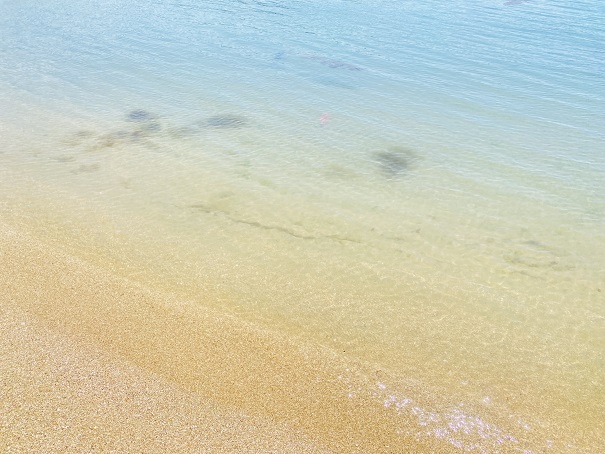 五色浜海浜公園　透明度の高い海