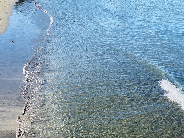 淡島海水浴場　水の透明度