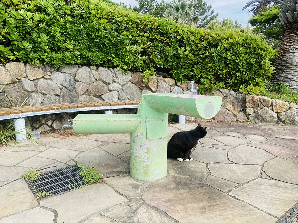 種崎海水浴場　足洗場