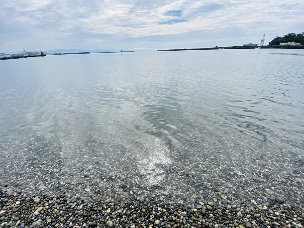 種崎海水浴場　水質