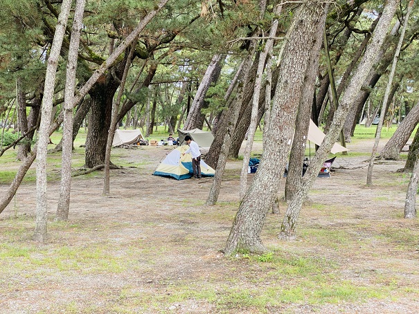 種崎千松公園　キャンプ場