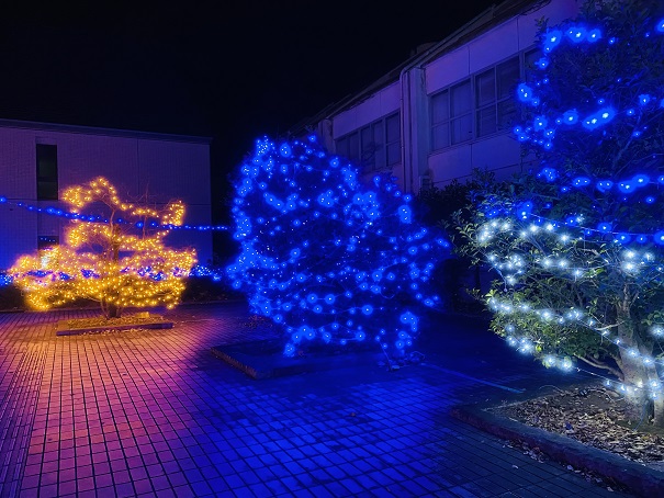 四国学院大学クリスマスイルミネーション　3本の木