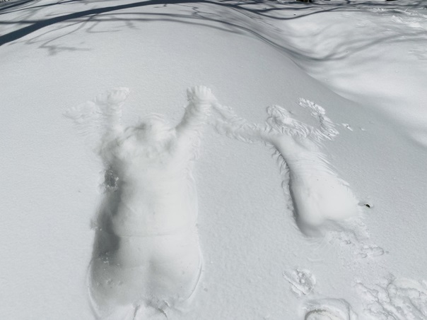 雪の上にダイブして人型を作る遊びです。