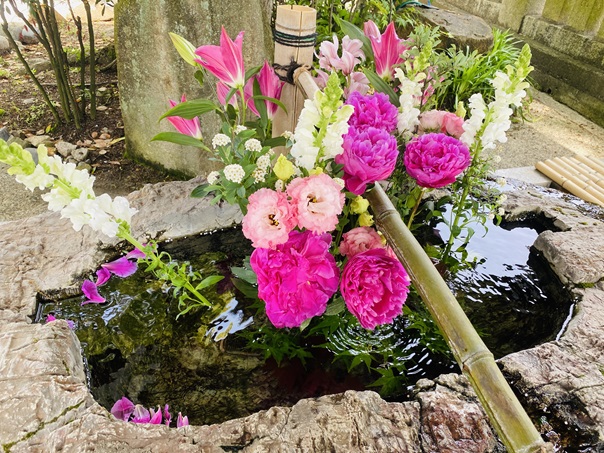 阿智神社　手水の花