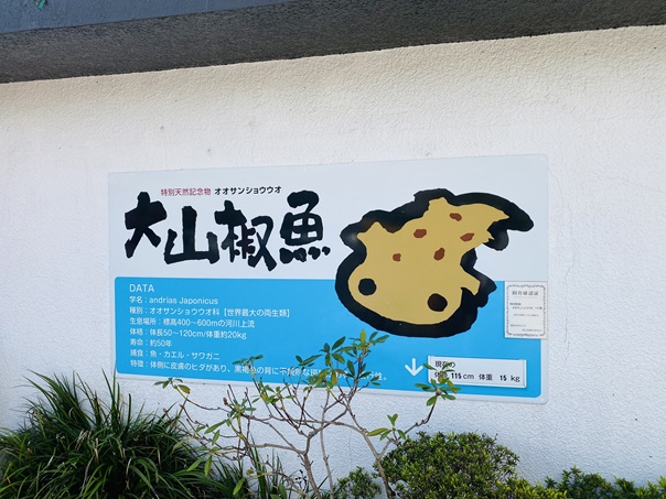 ヒルゼン高原センター　大山椒魚看板