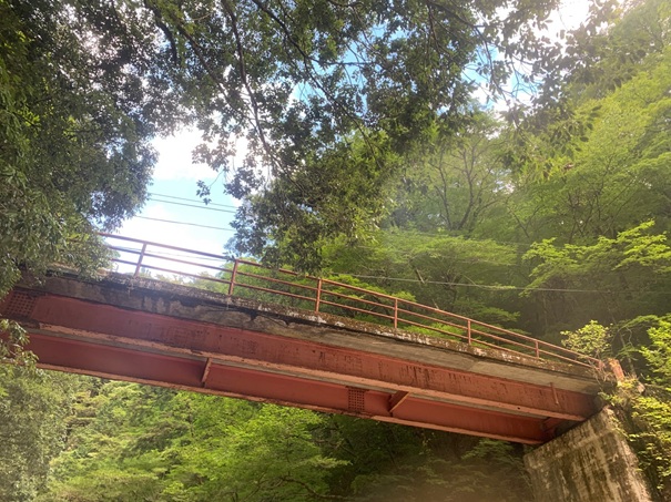 面河渓　もみじ 