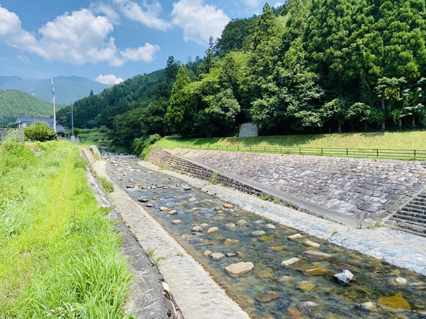 後山川　上から見た川