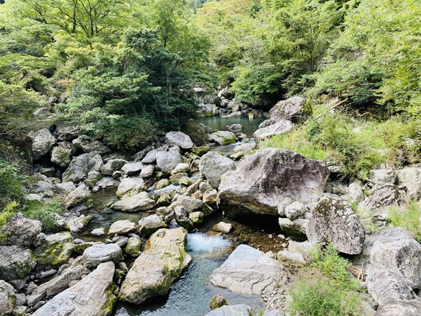 秋葉橋から見た岩屋川渓谷