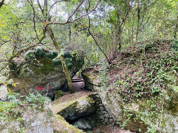 岩屋川渓谷　サガノ橋