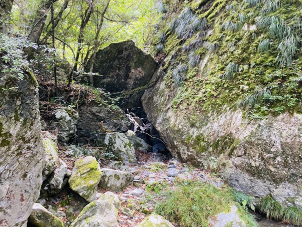 岩屋川渓谷　景観