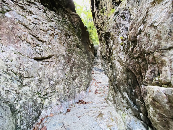 岩屋川渓谷　島の岩