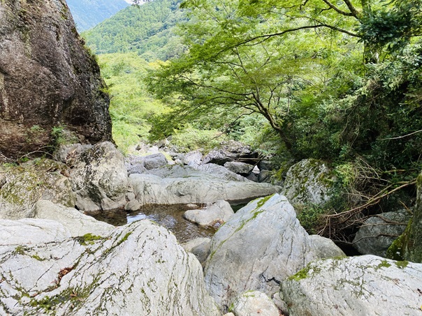 岩屋川渓谷　もみじ