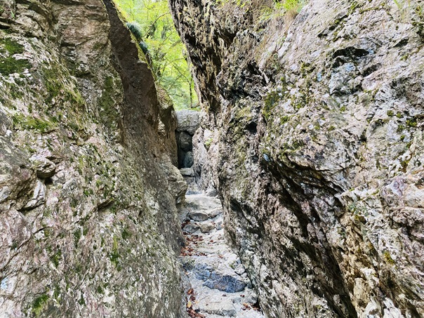 岩屋川渓谷