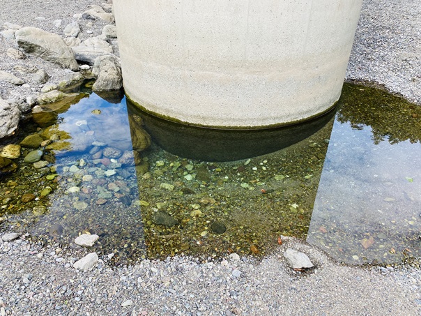 赤子水辺広場　高架の足の水たまり