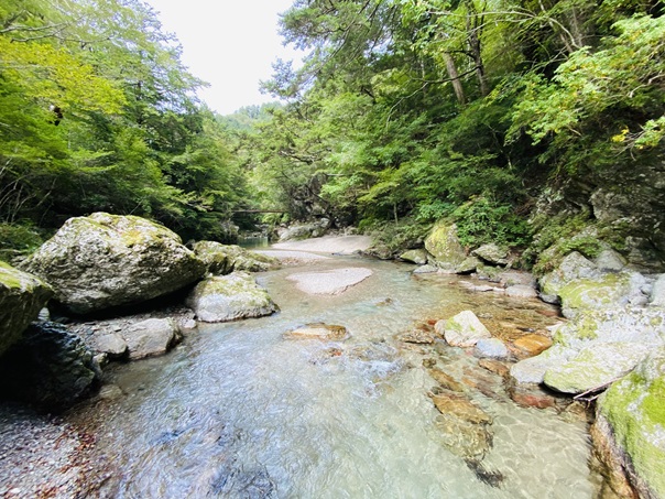 小田深山渓谷　黒川　透明度高い川