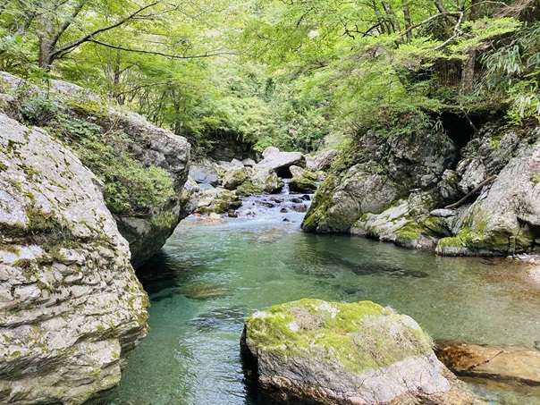 小田深山キャンプ場　緑豊かな黒川