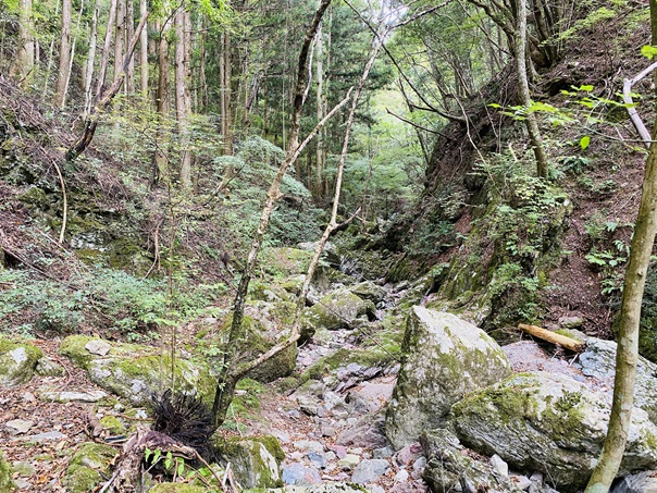 小田深山渓谷　水無川