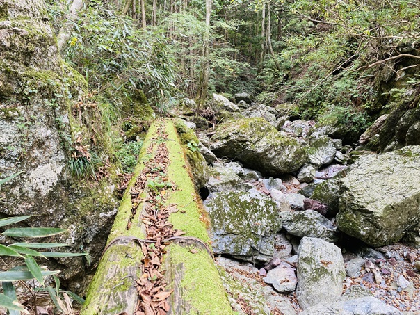 小田深山渓谷　水無川への橋