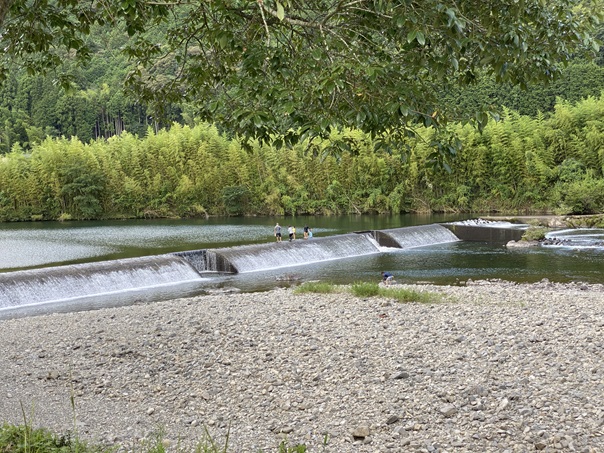 米の川城ハナ公園　堰