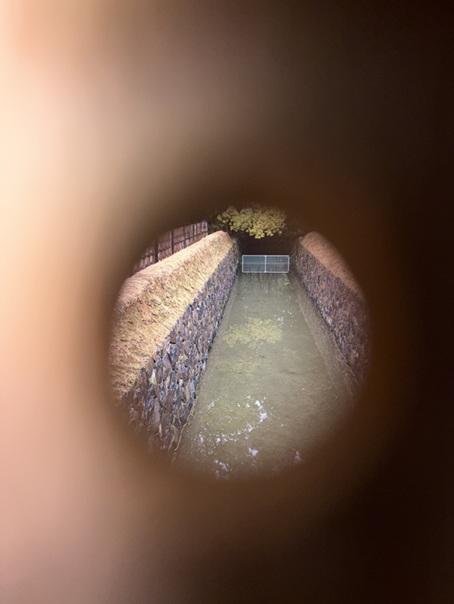 栗林公園 鴨引き堀と小覗 穴から見たところ