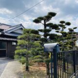 絹の館