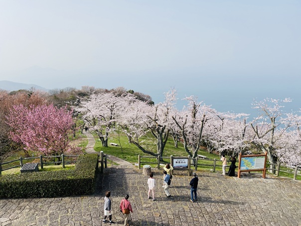 紫雲出山 世界に誇る日本の桜の花見 絶景 名所と見頃