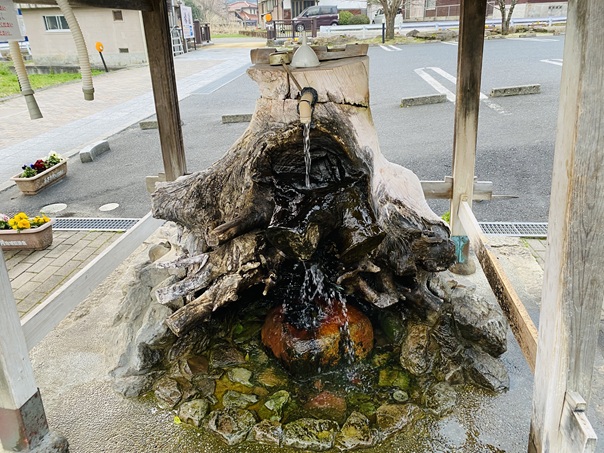 三朝温泉株湯　飲泉の湯