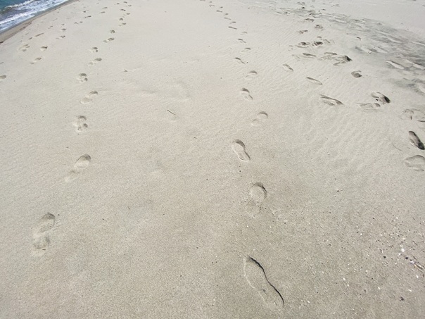 弓ヶ浜　白砂