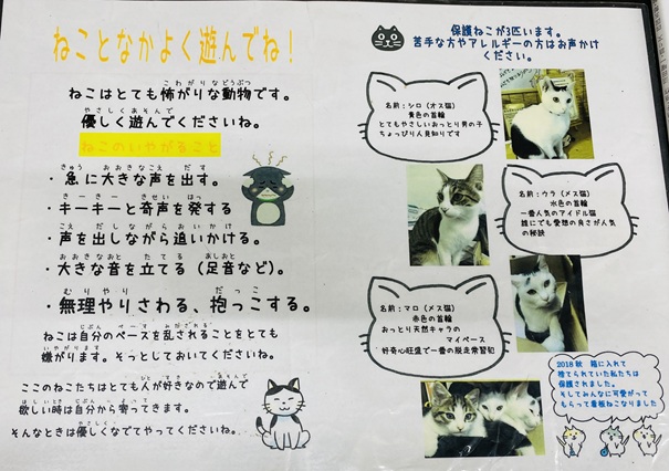 湯原温泉ミュージアム　猫と遊ぶ
