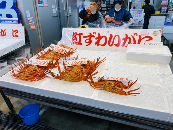 境港水産物直売センター　紅ズワイガニ
