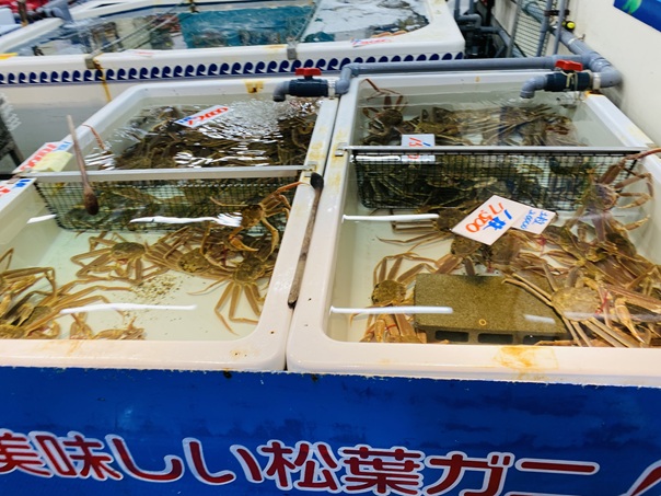 境港水産物直売センター　生きたかに
