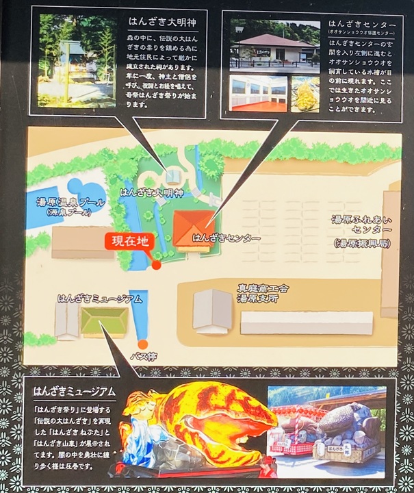 はんざきセンター　案内図