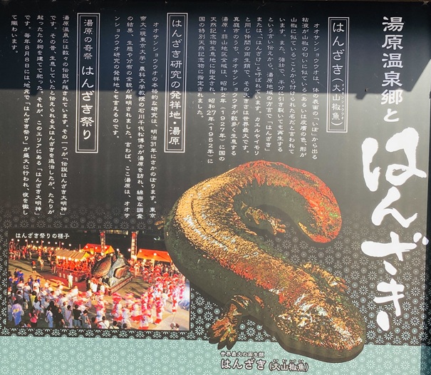 はんざきについて