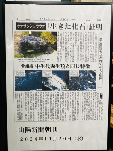 オオサンショウウオ　北化石証明新聞