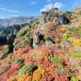 四国 秋の楽しい観光スポット&おすすめ遊び 体験 旅行ﾌﾟﾗﾝ