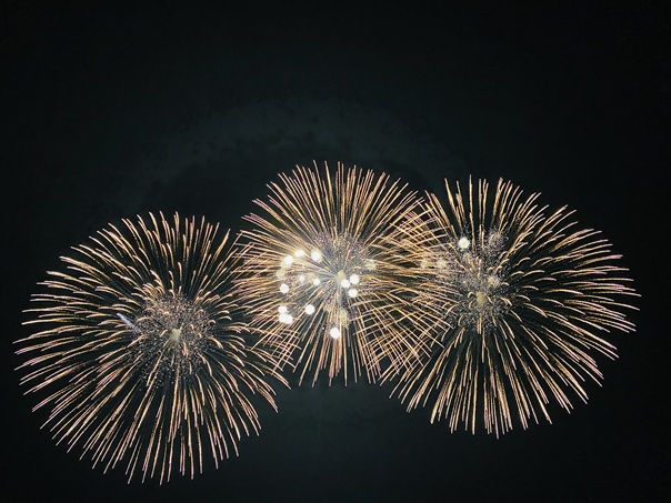 にし阿波の花火　オープニング