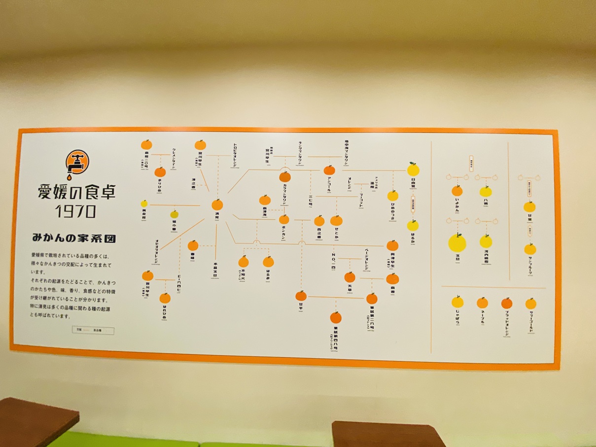 愛媛の食卓1970みかんの家系図