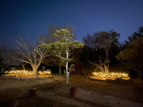 屋島ライトアップ＆プロジェクションマッピング　NIGHT WAVE