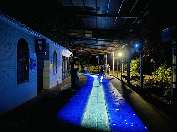 屋島ライトアップ＆プロジェクションマッピング　DEEP-SEA STREET