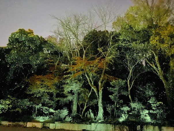 屋島ライトアップ＆プロジェクションマッピング　UMIHOTARU　