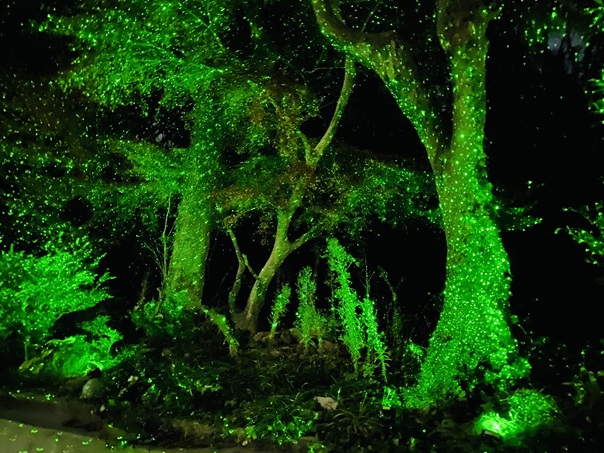 屋島ライトアップ＆プロジェクションマッピング　UMIHOTARU　レーザーライト